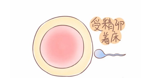試管嬰兒技術(shù)對哪些不孕不育家庭最有效呢？