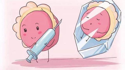 試管嬰兒取卵數(shù)量決定成功率高低嗎？
