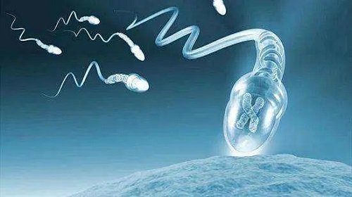 2022廣州第三代試管嬰兒多少錢？