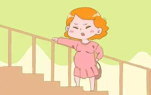 試管嬰兒多少錢一次你了解嗎？